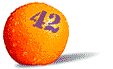 Orange42 Web Design and Development